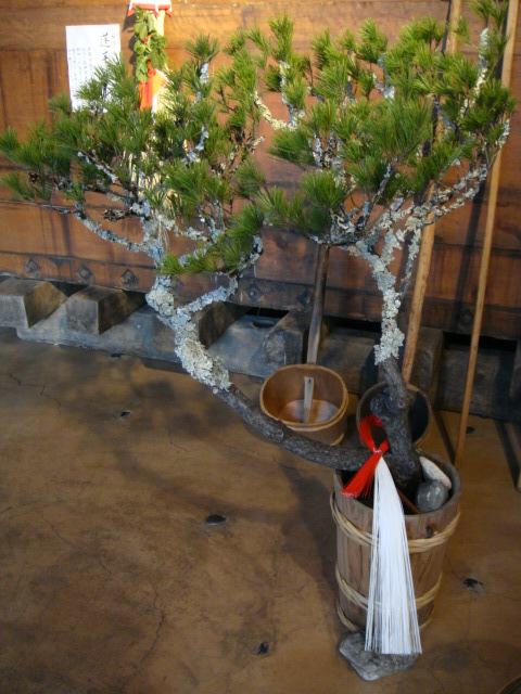 あけましておめでとうございます